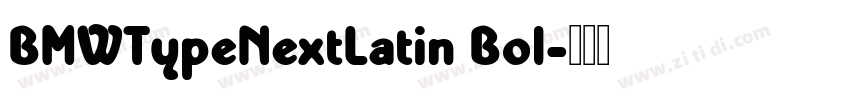 BMWTypeNextLatin Bol字体转换